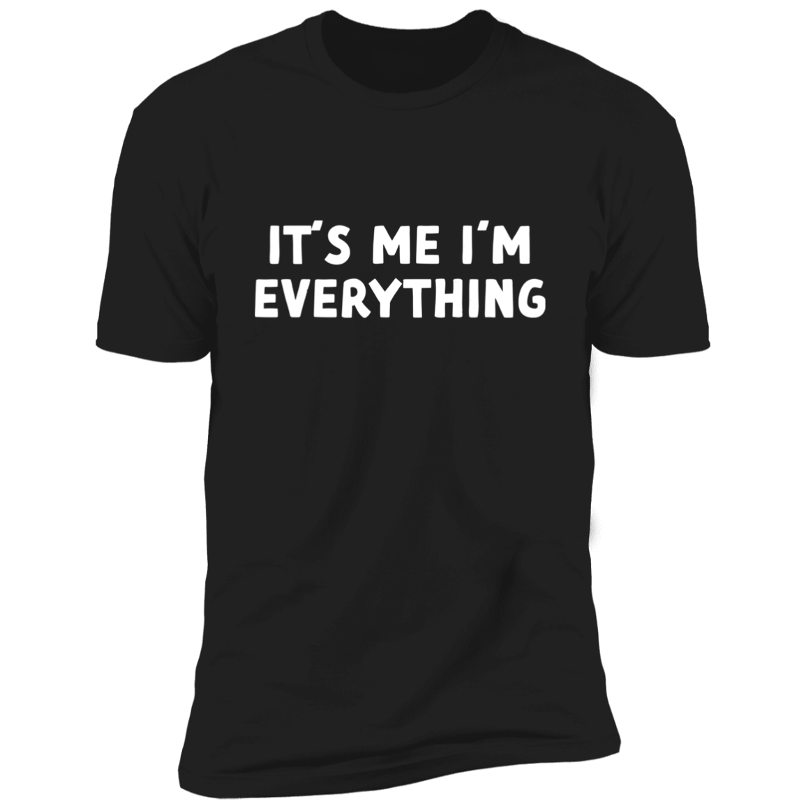 I Have Everything I Want For Christmas & Its Me Im Everything Couples Tees